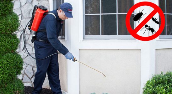 Koçarlı Gümüşkurt İlaçlama böcek ilaçlama ve haşere kontrolü — ilaclama-tr.com